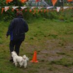 Afbeelding van WhatsApp op 2024-08-07 om 21.30.52_745fae36