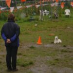 Afbeelding van WhatsApp op 2024-08-07 om 21.30.52_779a8a29