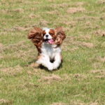 IMG_5525